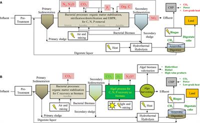 Fixing the Broken Phosphorus Cycle: Wastewater Remediation by Microalgal Polyphosphates